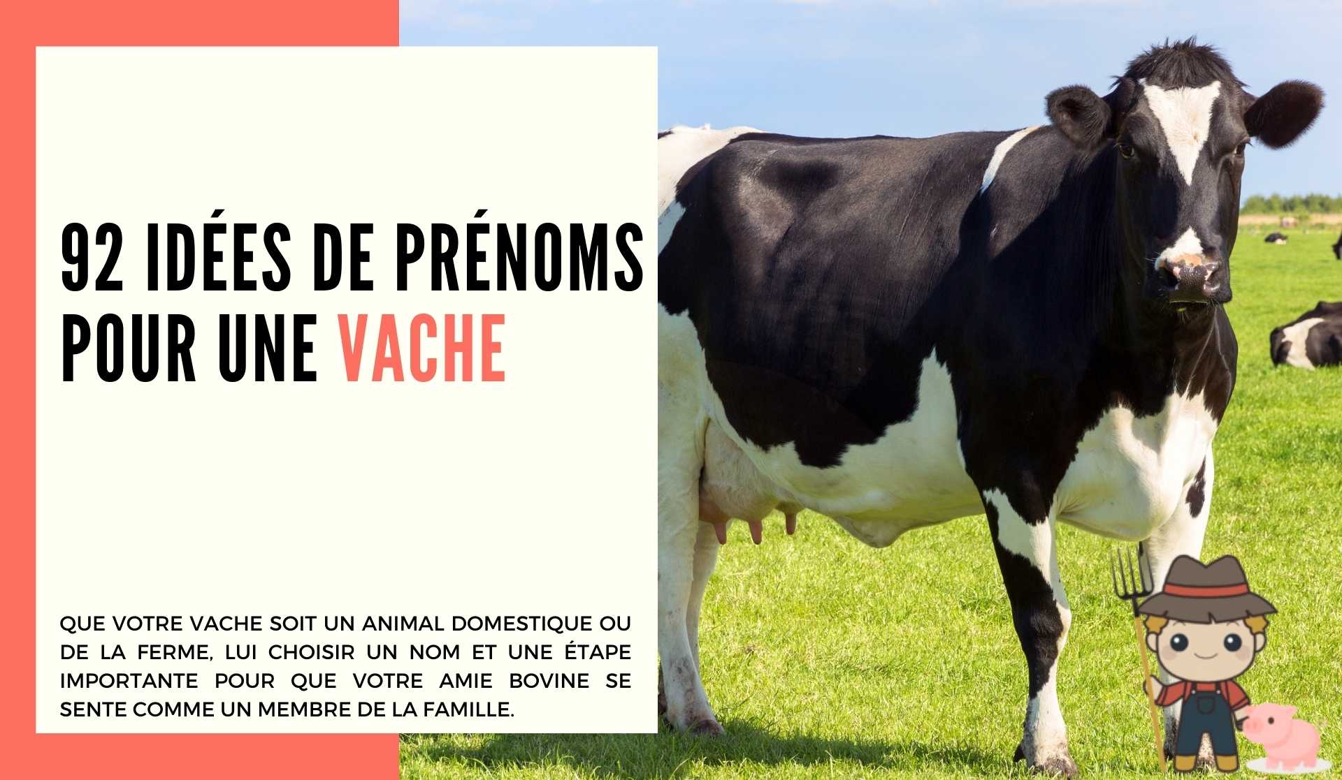 92 idées de prénoms pour une vache - Le Petit Fermier