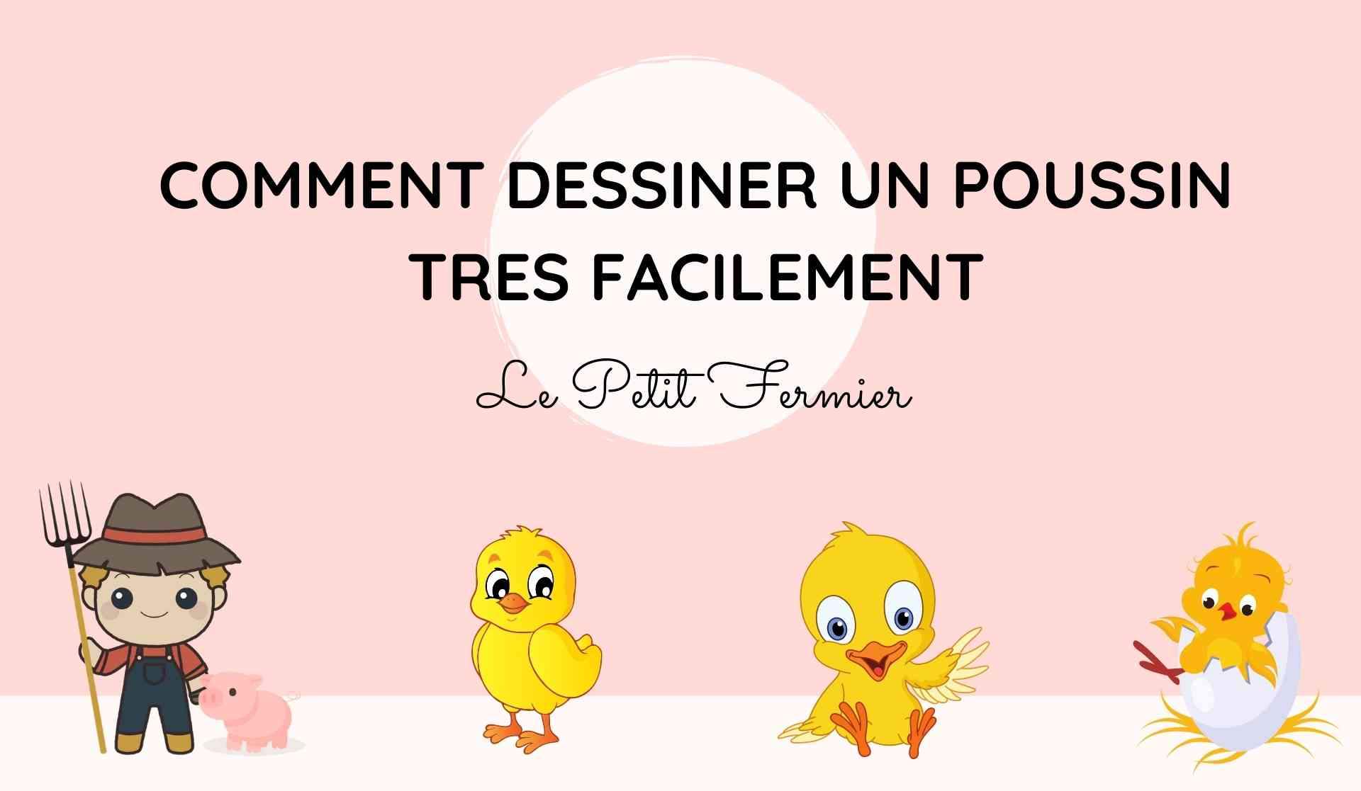 Comment dessiner un poussin ? - Le Petit Fermier