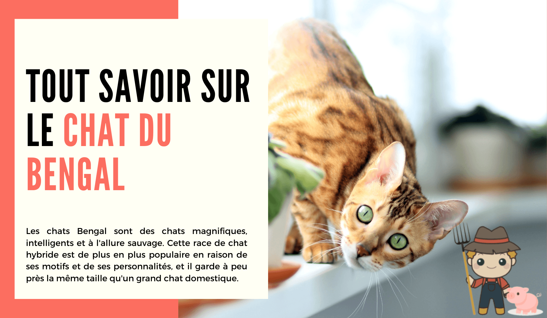 Le Bengal | Le Petit Fermier, image size:1920x1117