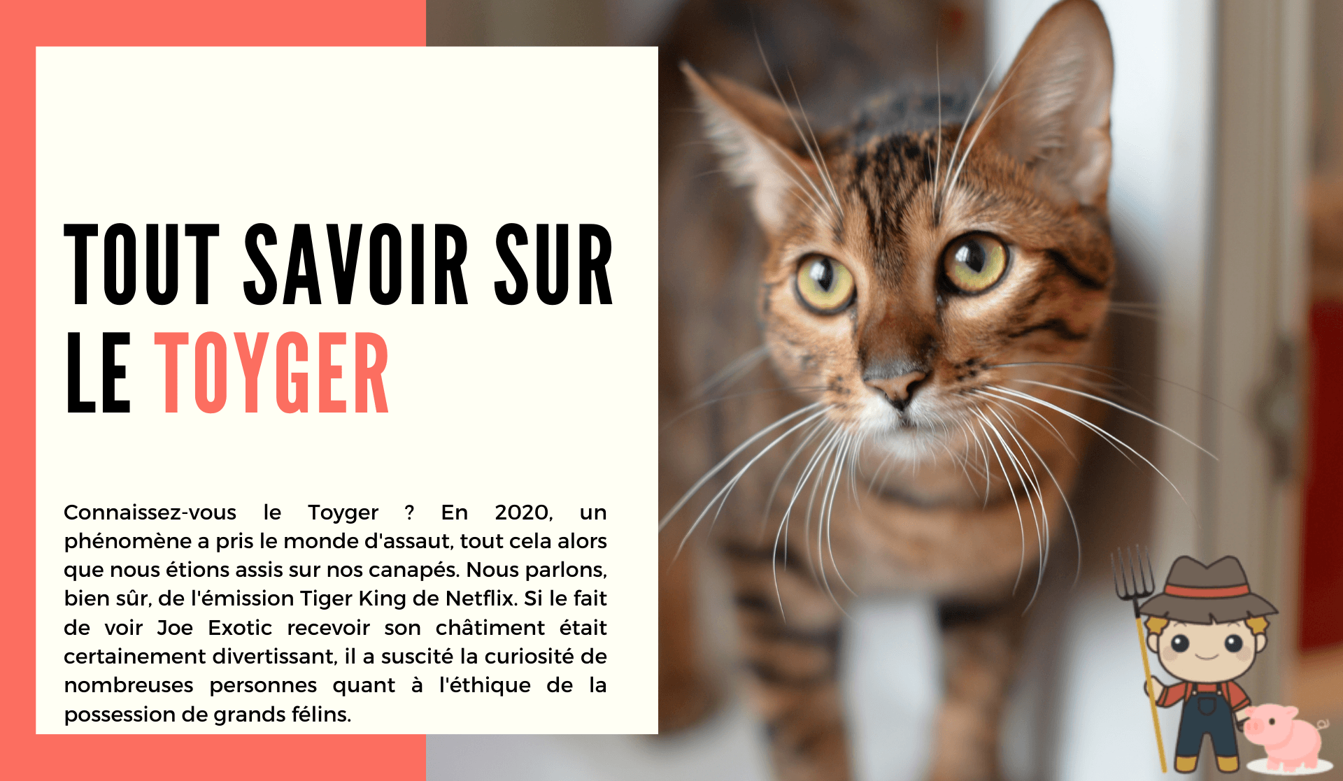 Le Toyger | Le Petit Fermier, image size:1920x1117