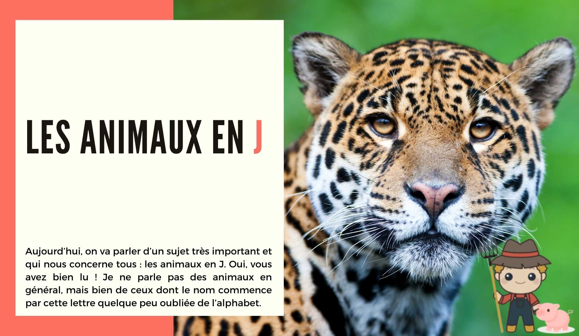 Les animaux en j - Le Petit Fermier