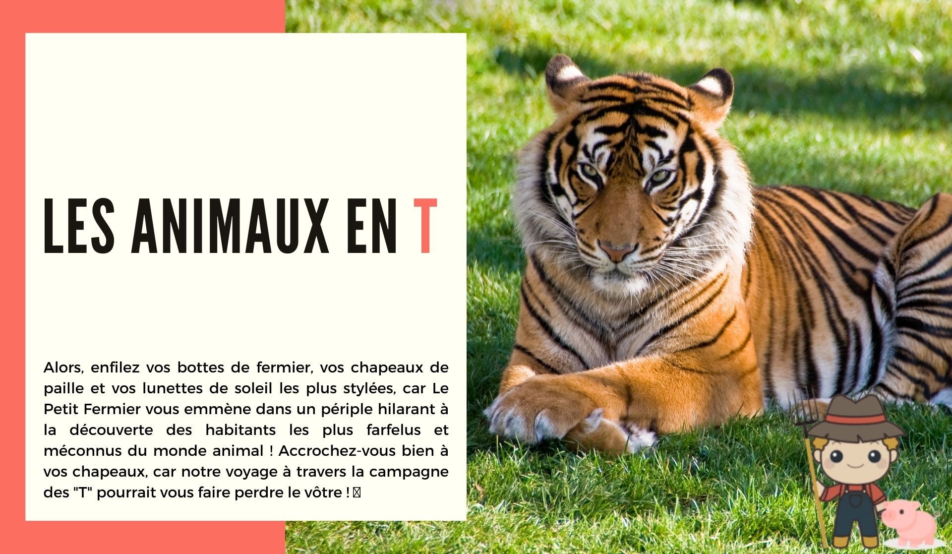 Les animaux en t - Le Petit Fermier