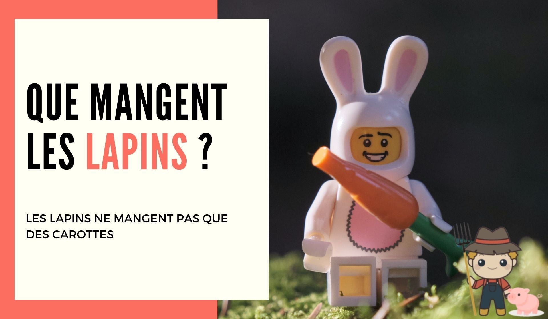 Que mangent les lapins ? Le Petit Fermier