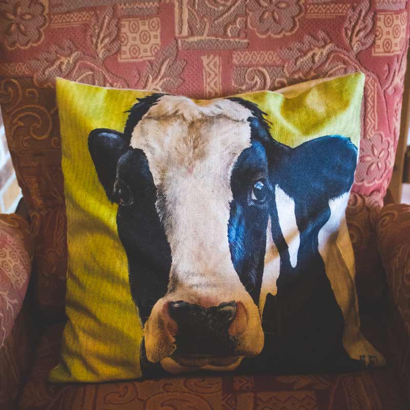 COUSSINS ANIMAUX DE LA FERME - Le Petit Fermier