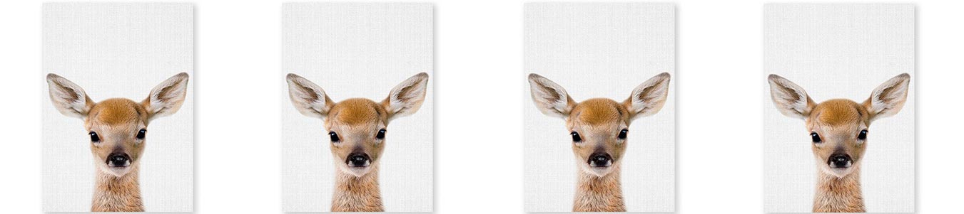 TABLEAUX BICHE - Le Petit Fermier