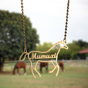 Collier cheval personnalisé - Le Petit Fermier