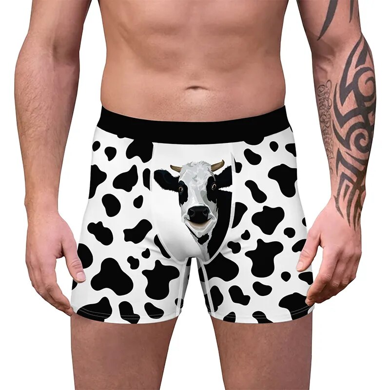 Boxer vache MEUH-JESTIC