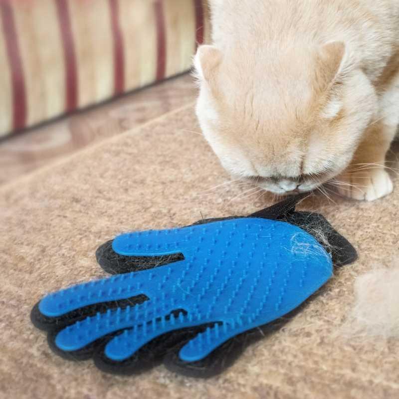 Gant de brossage magique attrape poils - Le Petit Fermier