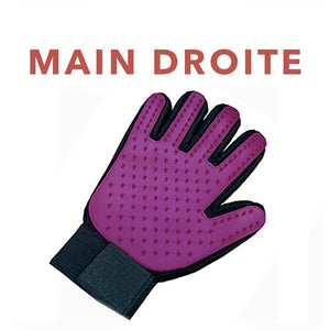 Gant de brossage magique attrape poils - Le Petit Fermier