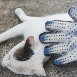 Gant de brossage magique attrape poils - Le Petit Fermier