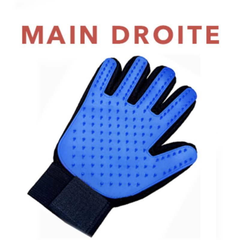 Gant de brossage magique attrape poils - Le Petit Fermier