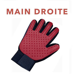 Gant de brossage magique attrape poils - Le Petit Fermier