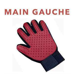 Gant de brossage magique attrape poils - Le Petit Fermier