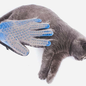 Gant de brossage magique attrape poils - Le Petit Fermier