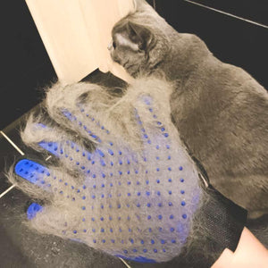 Gant de brossage magique attrape poils - Le Petit Fermier