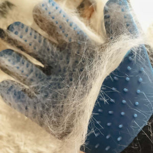 Gant de brossage magique attrape poils - Le Petit Fermier