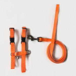 Harnais souple pour lapin avec sa laisse - Le Petit Fermier