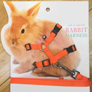 Harnais souple pour lapin avec sa laisse - Le Petit Fermier