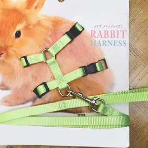 Harnais souple pour lapin avec sa laisse - Le Petit Fermier