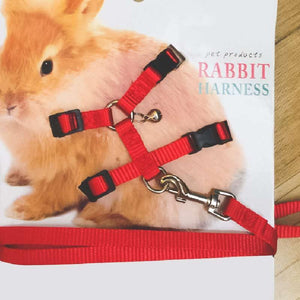 Harnais souple pour lapin avec sa laisse - Le Petit Fermier