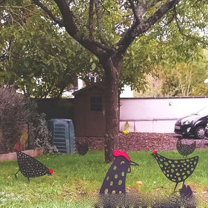 La poule de jardin - Le Petit Fermier