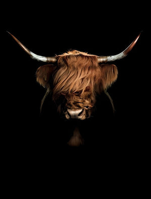 Tableau vache highland noire - Le Petit Fermier