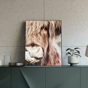 Tableau vache Highland à la belle langue - Le Petit Fermier