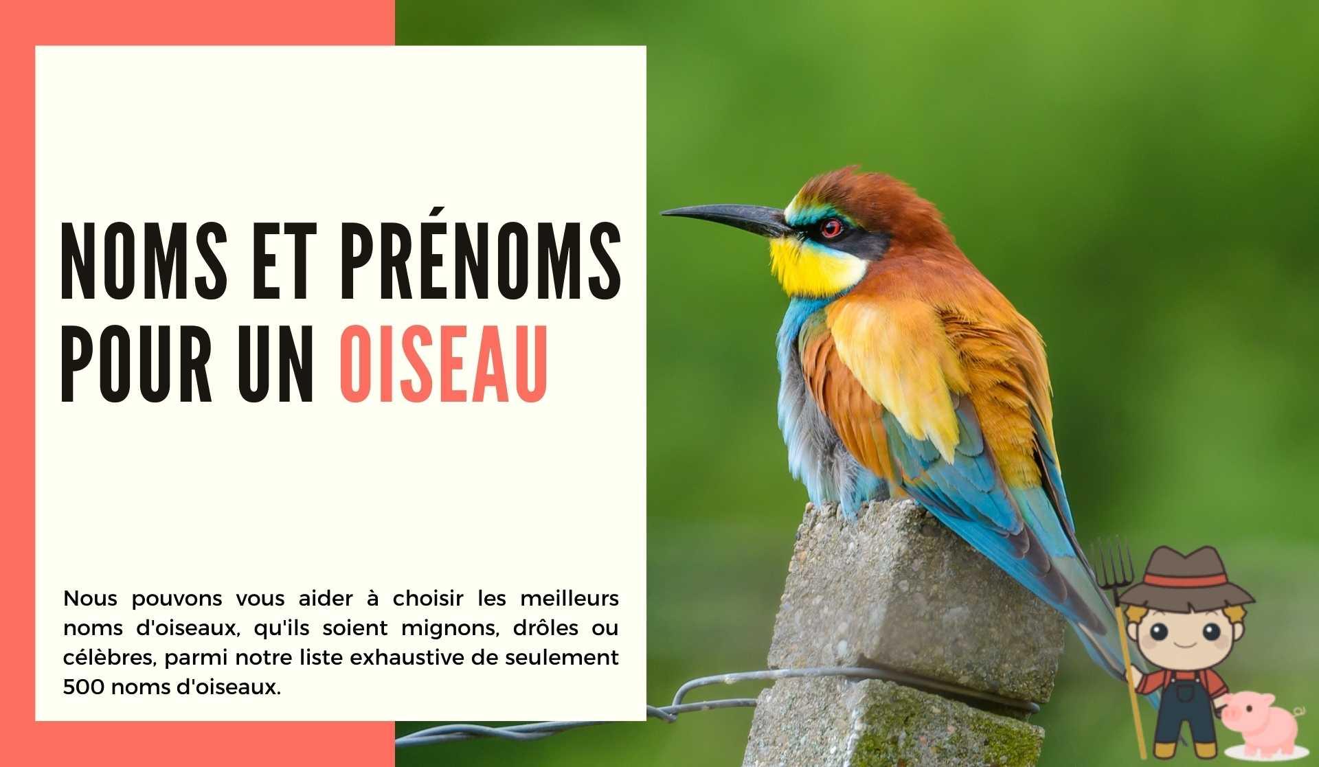 500 noms et prénoms pour un oiseau - Le Petit Fermier
