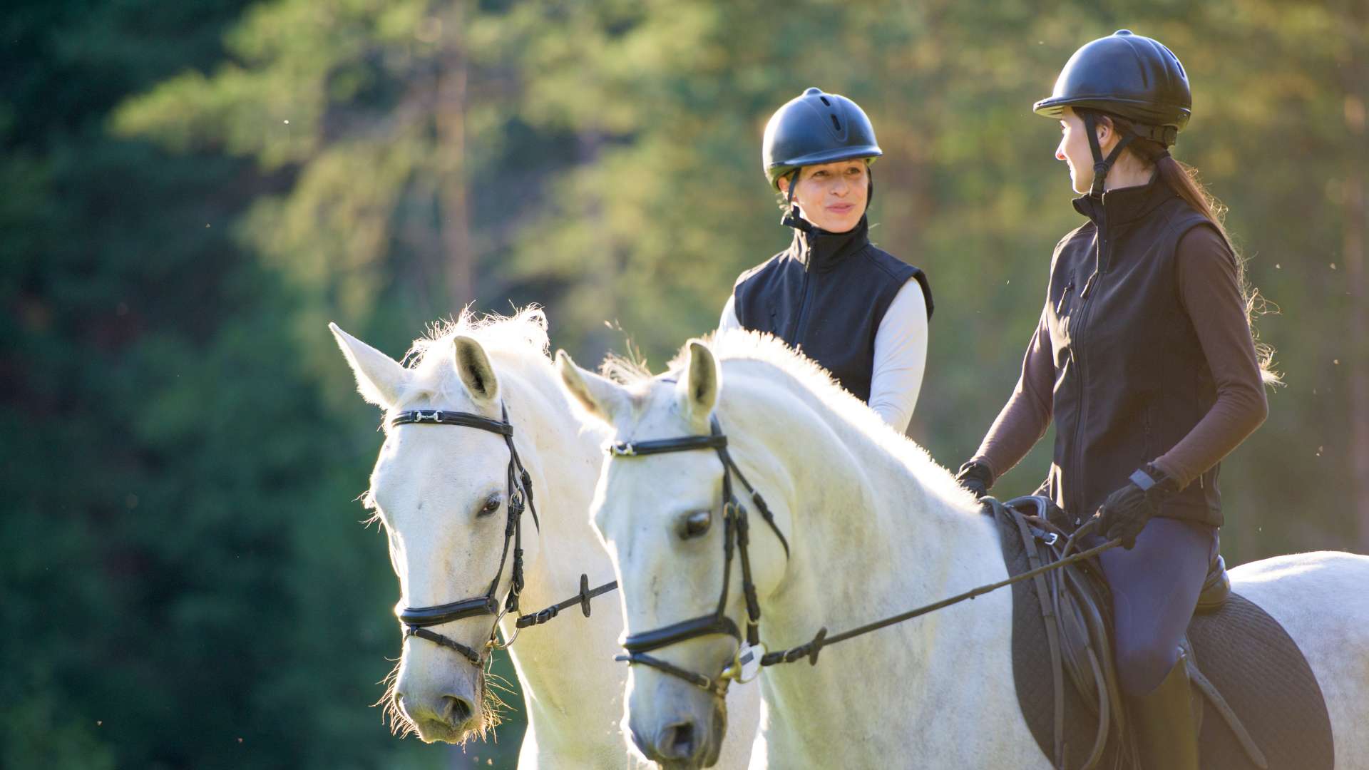 Idées de cadeau pour une cavalière adulte