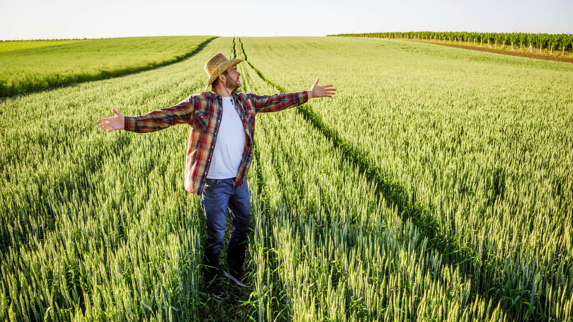 Pourquoi Le Petit Fermier est la meilleure boutique agriculture