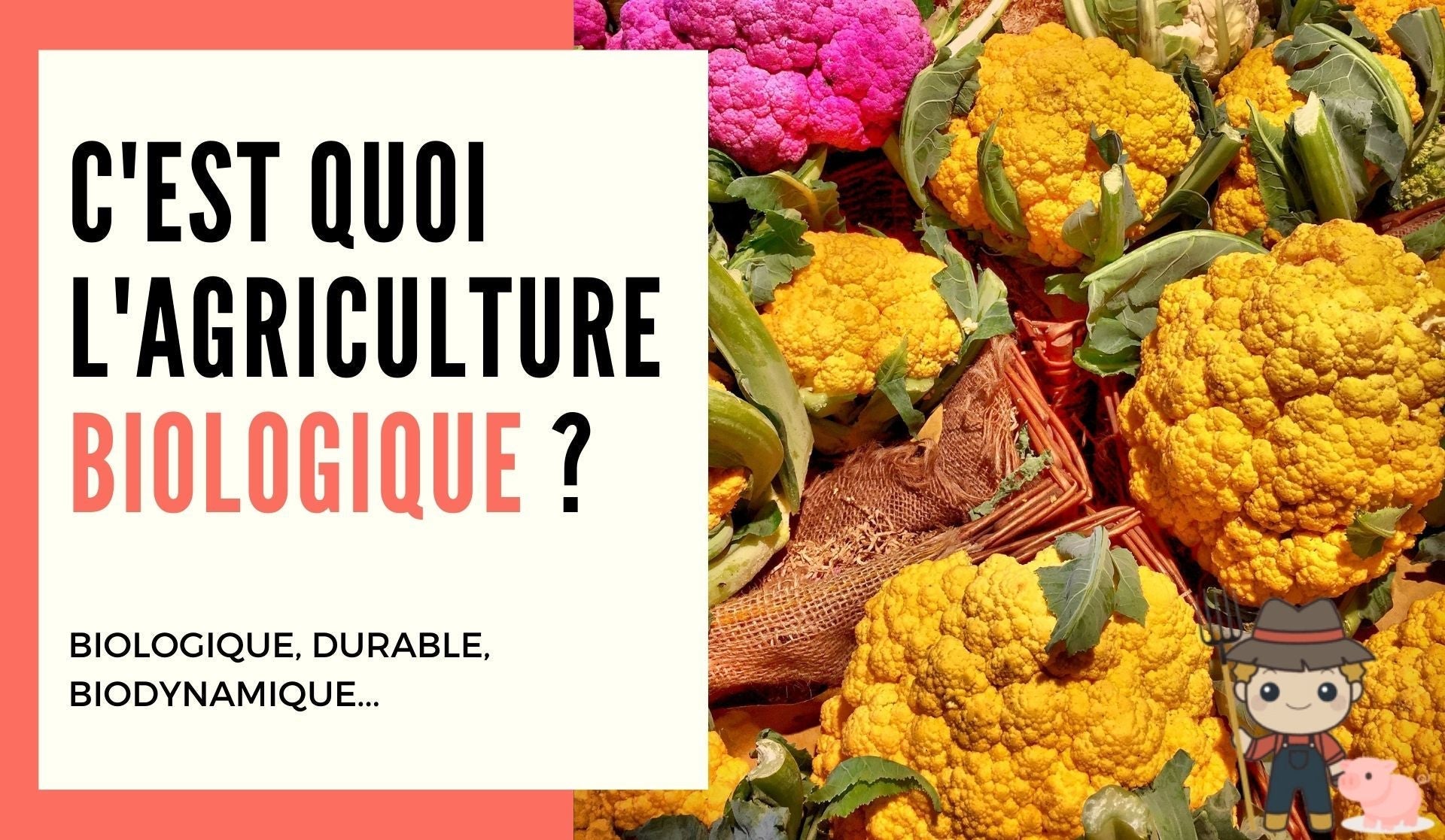 C'est quoi l'agriculture biologique ? - Le Petit Fermier