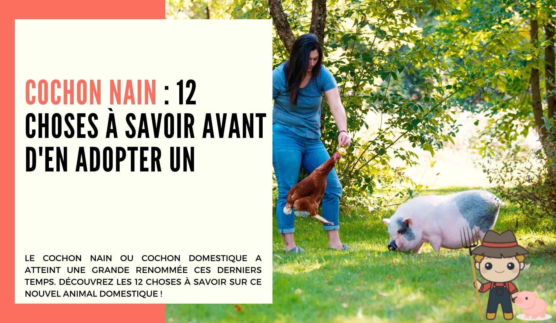 Cochon nain : 12 choses à savoir avant d'en adopter un - Le Petit Fermier