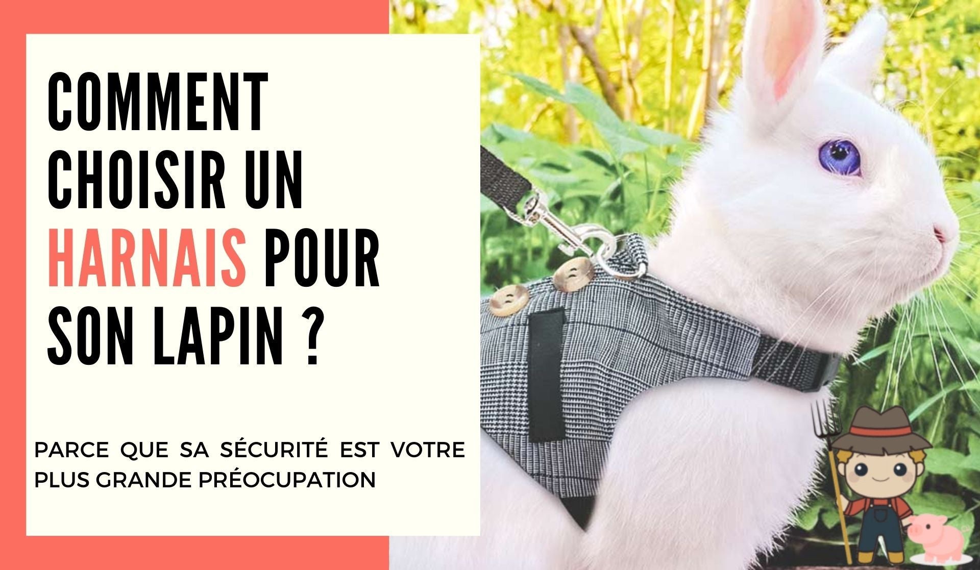Comment choisir un harnais pour son lapin ? - Le Petit Fermier