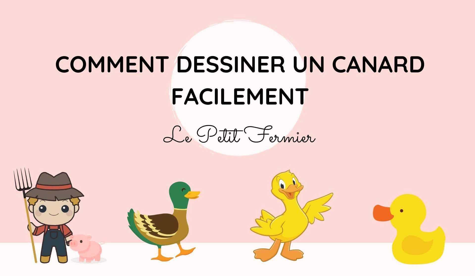 Comment dessiner un canard facilement ? - Le Petit Fermier