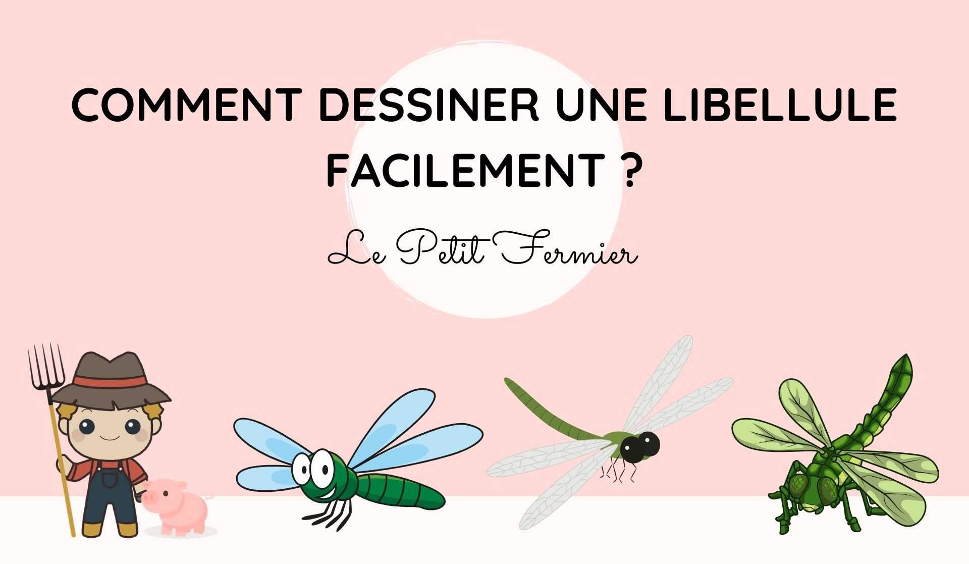 Comment dessiner une libellule facilement ? - Le Petit Fermier