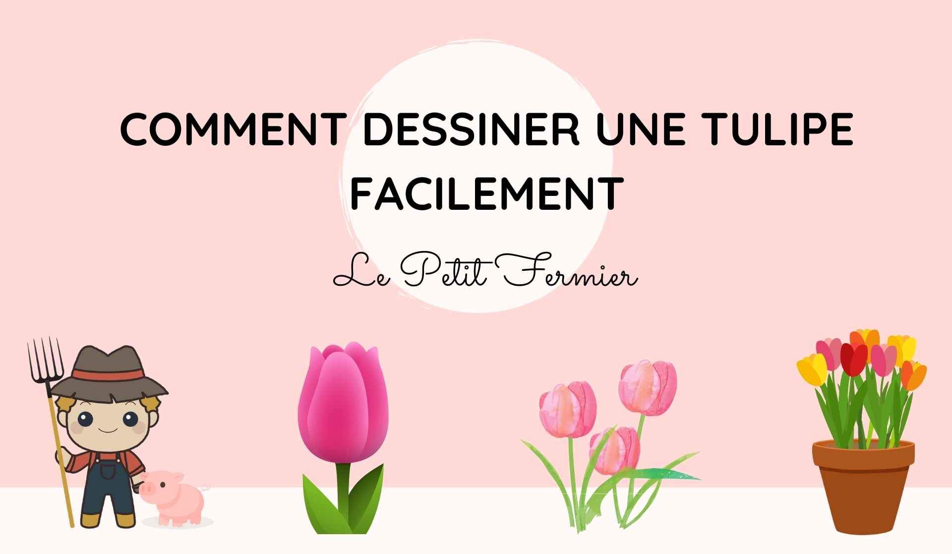 Comment dessiner une tulipe facilement - Le Petit Fermier