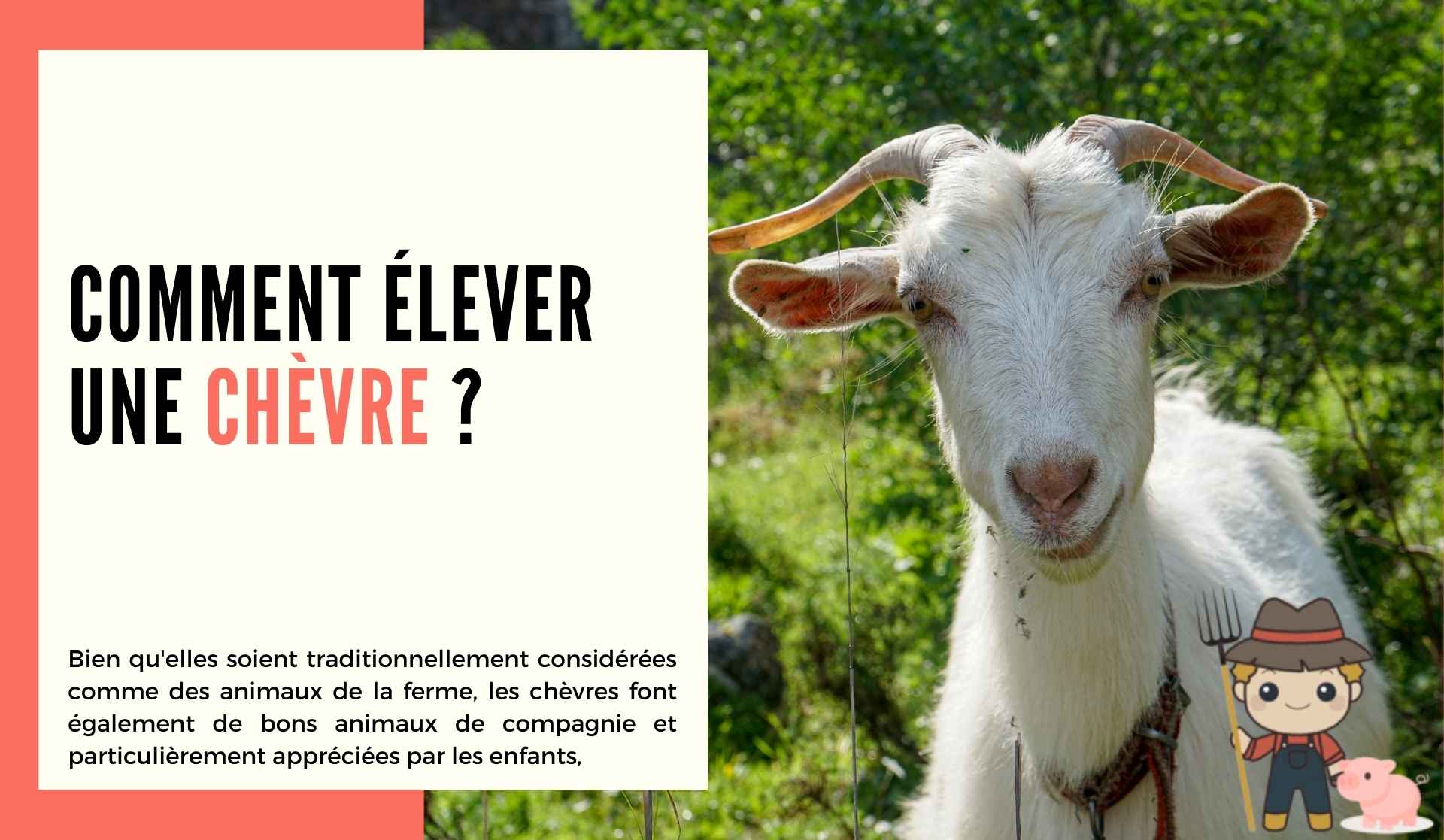 Comment élever une chèvre ? - Le Petit Fermier
