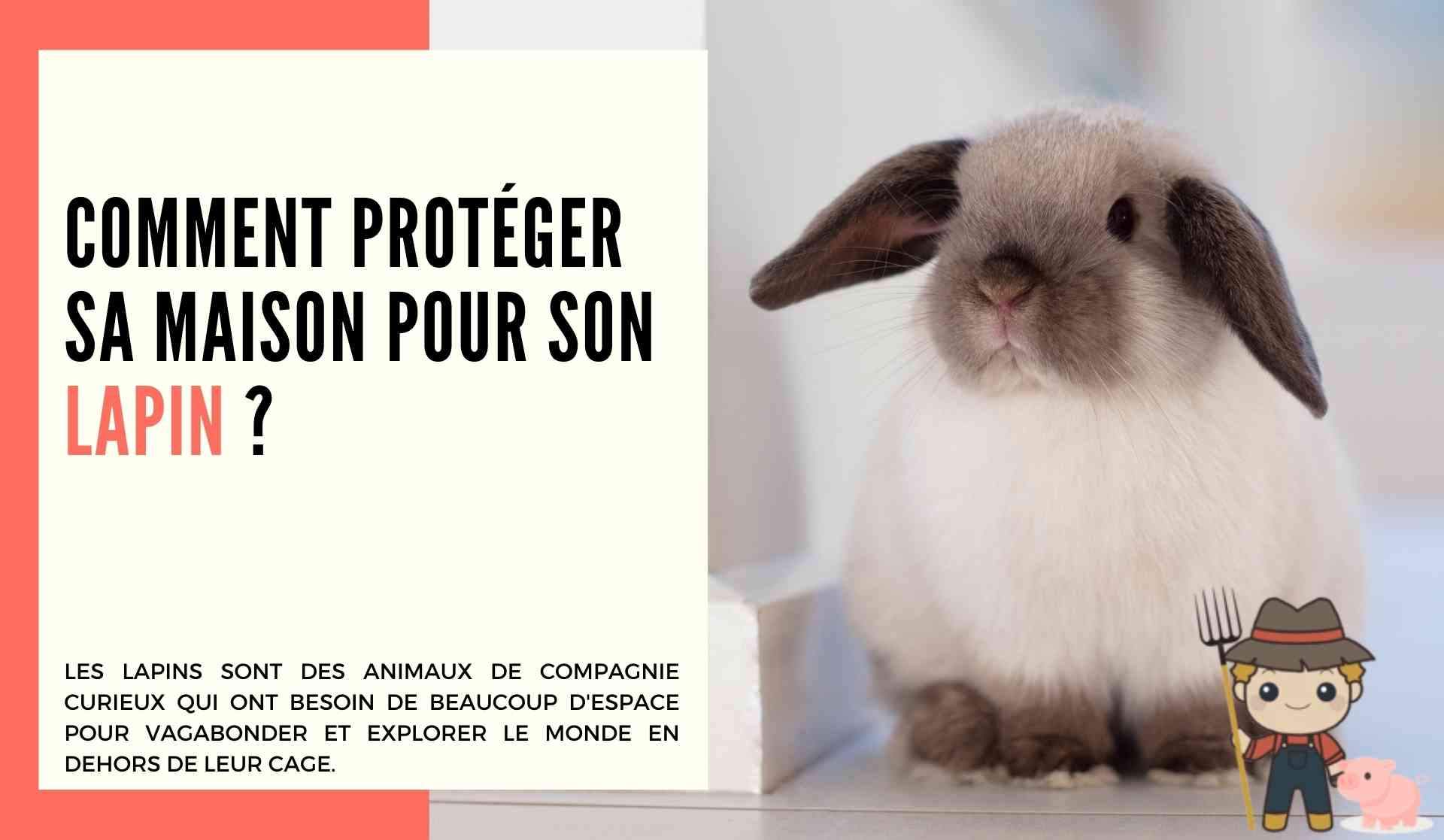 Comment protéger sa maison pour son lapin ? - Le Petit Fermier