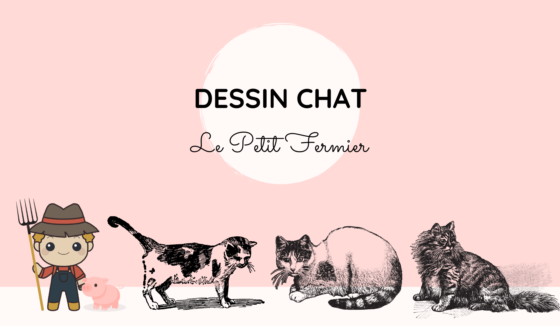 Dessin chat - Le Petit Fermier