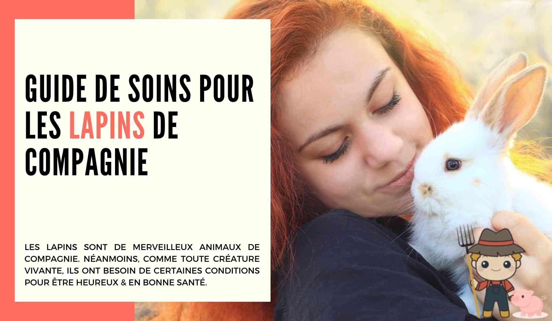 Guide de soins pour les lapins de compagnie - Le Petit Fermier