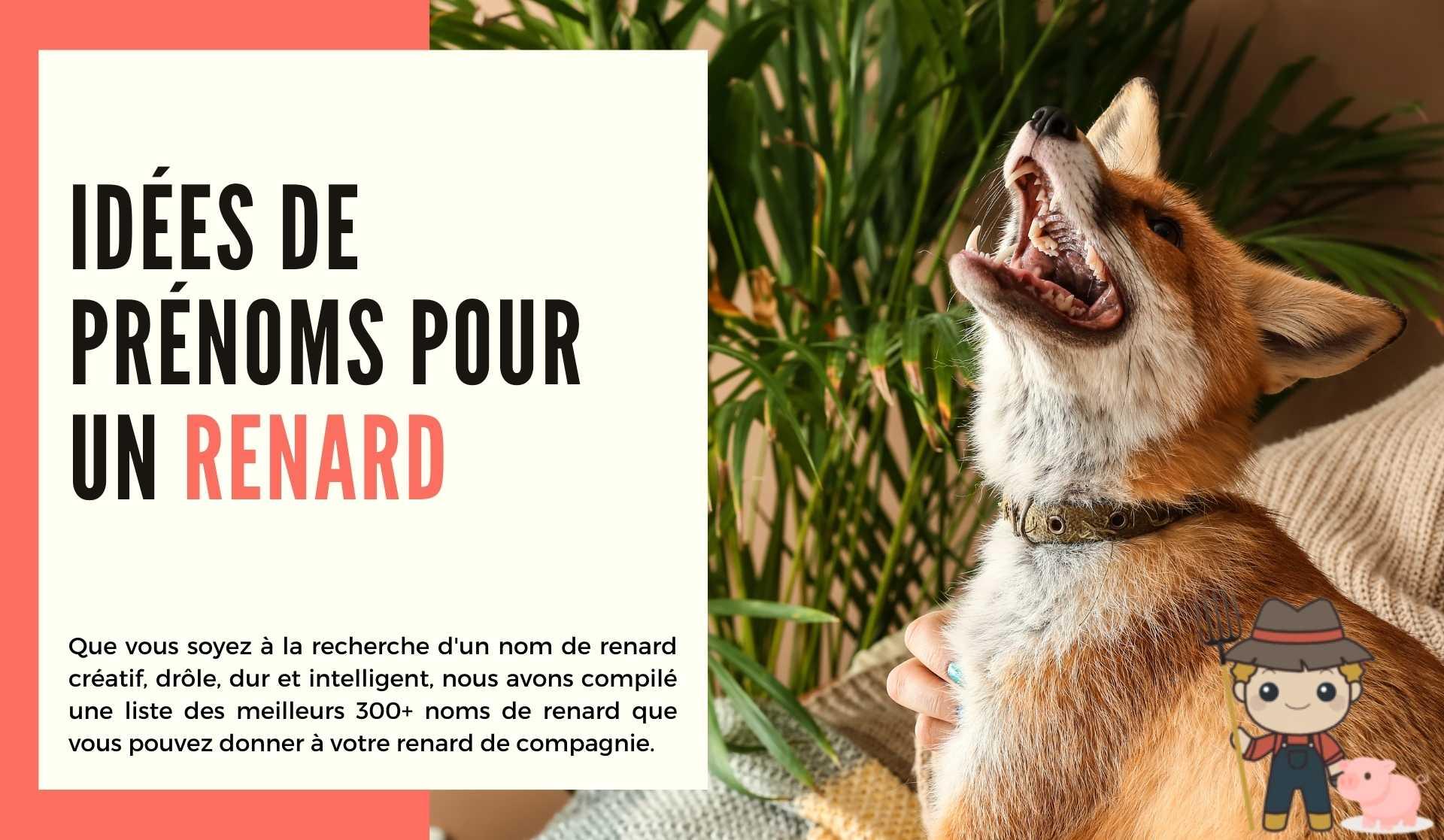 Idées de prénoms pour un renard - Le Petit Fermier