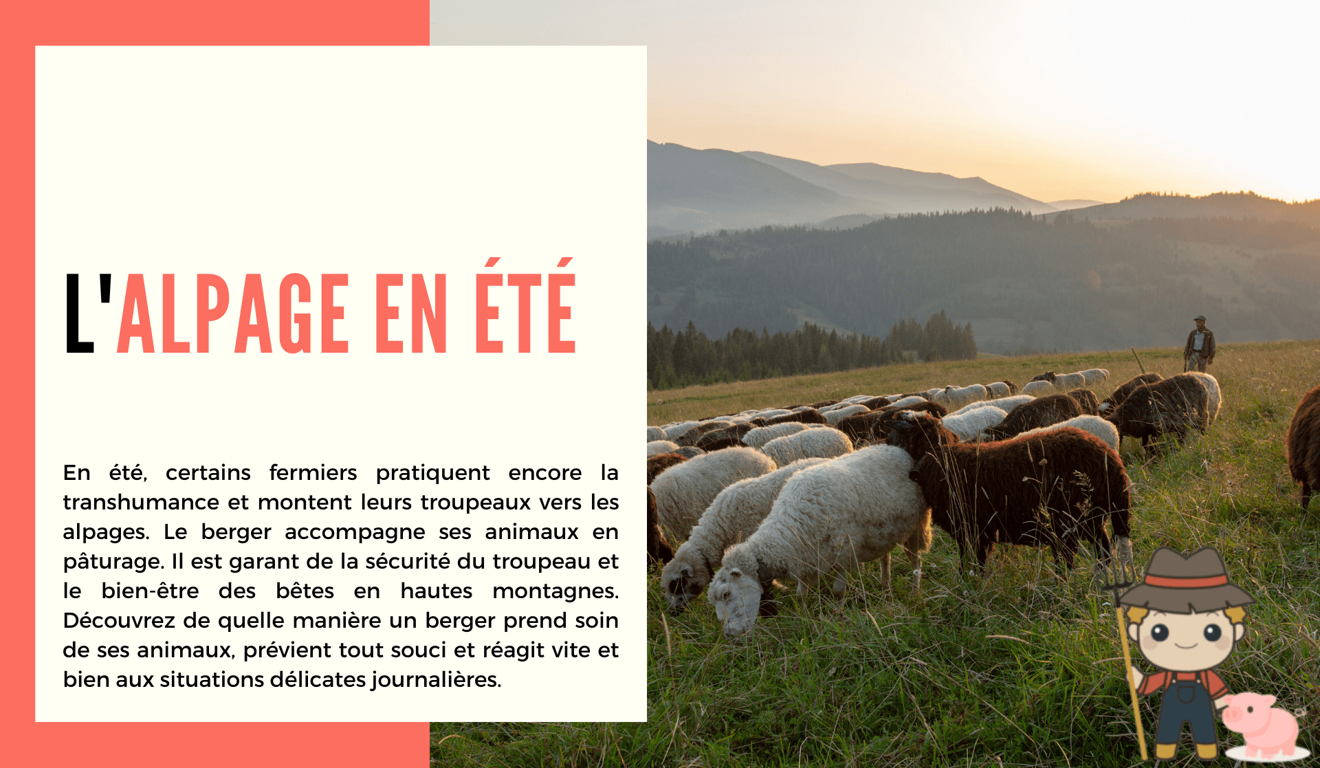 L'alpage en été - Le Petit Fermier