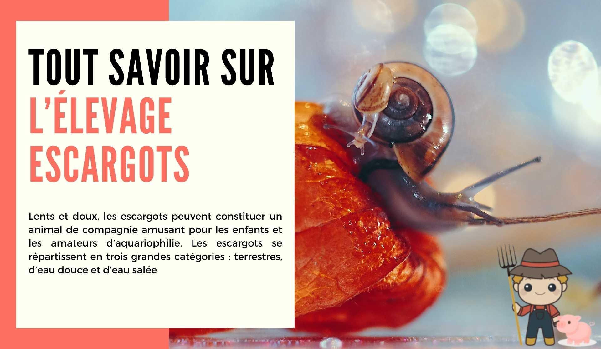 L’élevage d’escargots - Le Petit Fermier