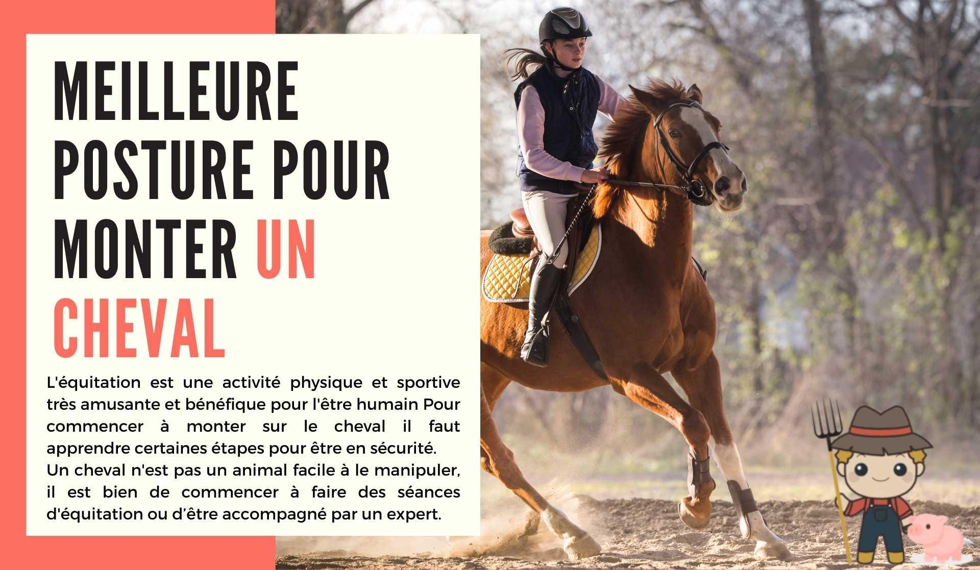 La meilleure posture pour monter un cheval - Le Petit Fermier
