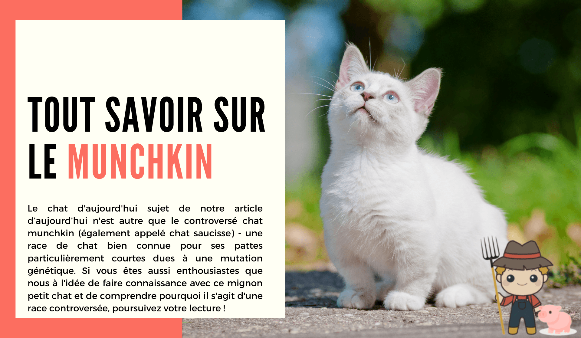 Le Munchkin - Le Petit Fermier
