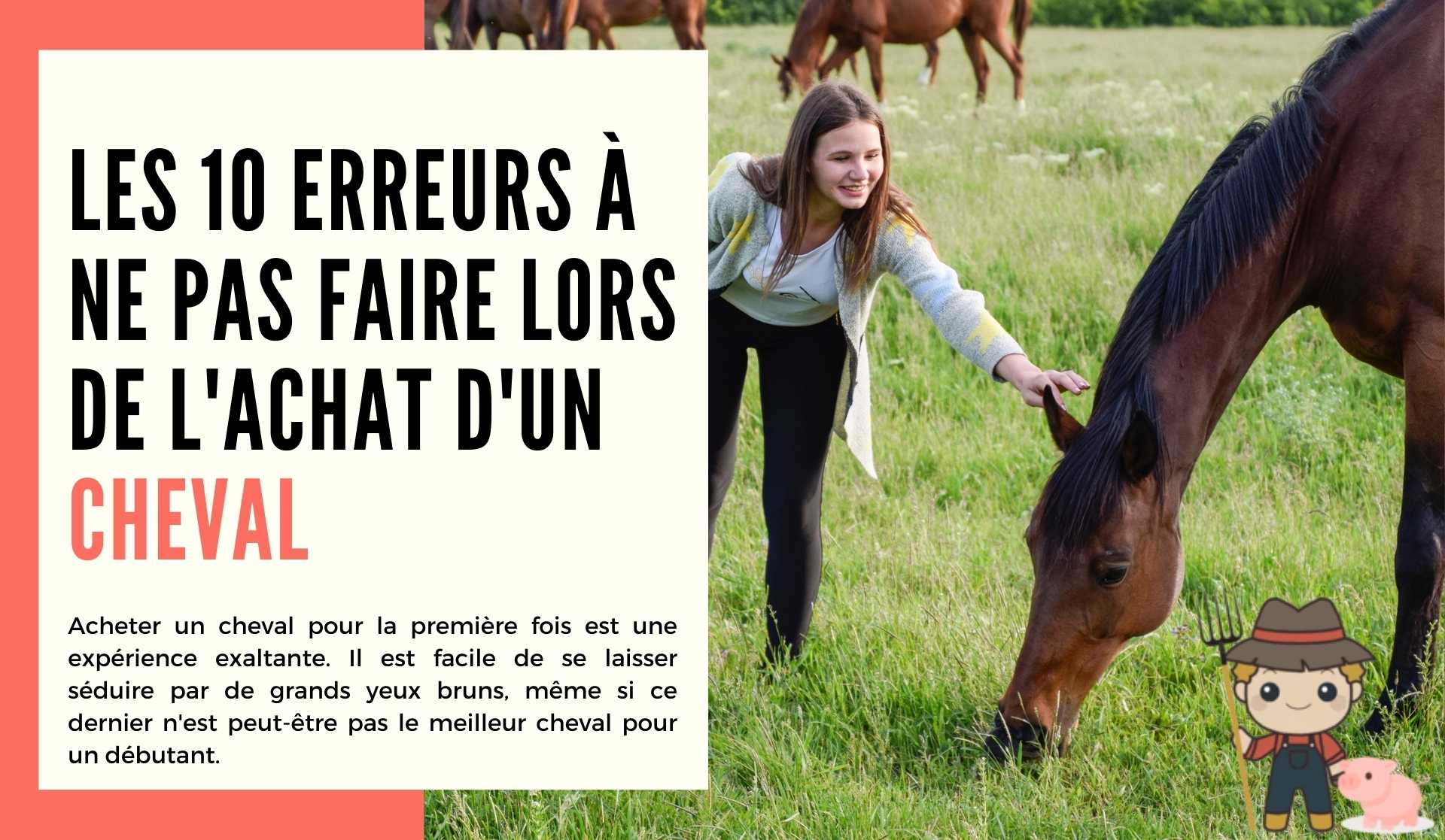 Les 10 erreurs à ne pas faire lors de l'achat d'un cheval - Le Petit Fermier