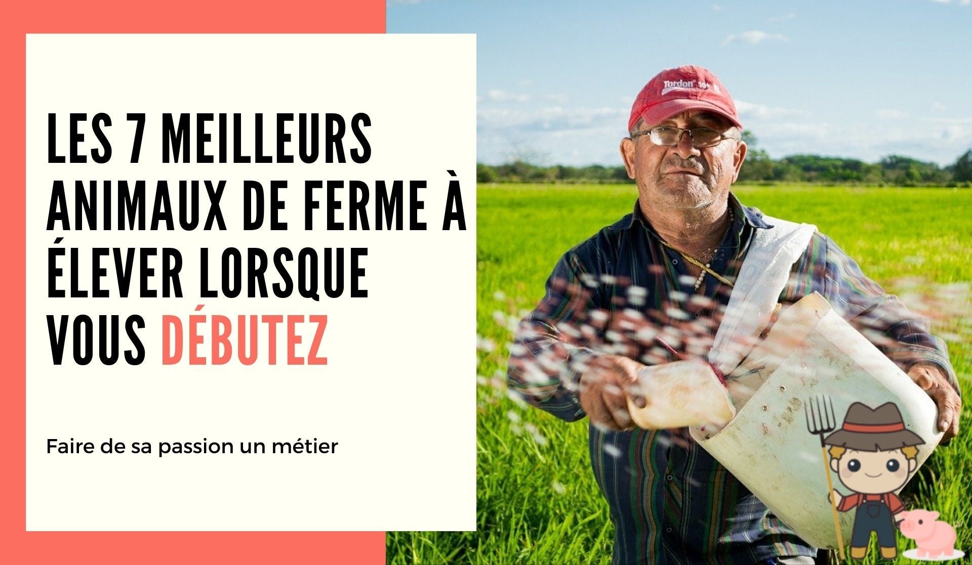 Les 7 meilleurs animaux de ferme à élever lorsque vous débutez - Le Petit Fermier
