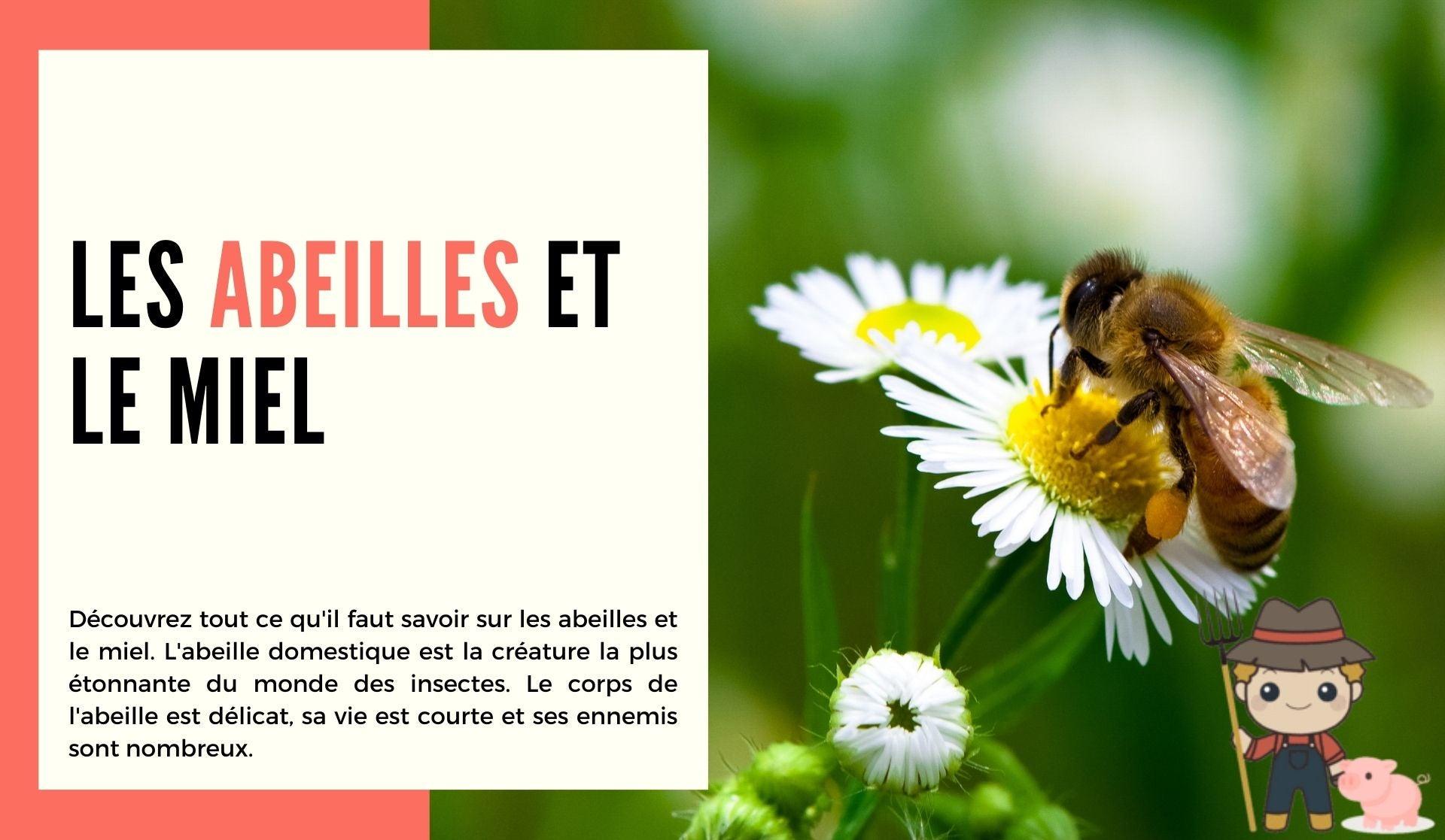 Les abeilles et le miel - Le Petit Fermier