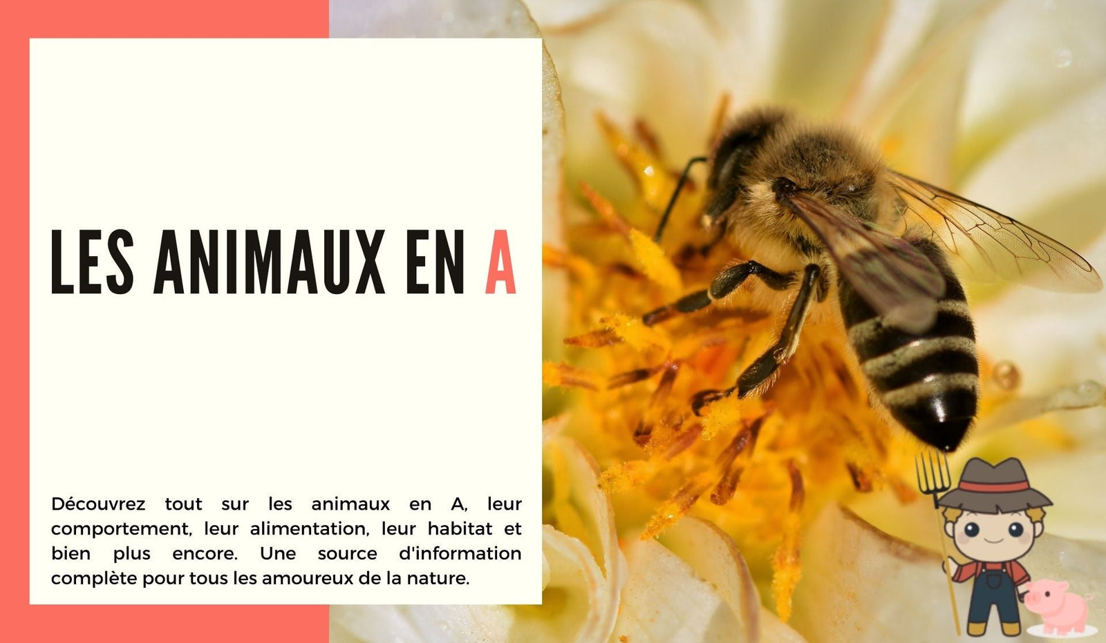 Les animaux en a - Le Petit Fermier