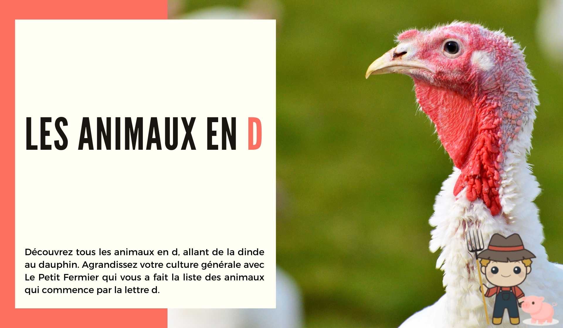 Les animaux en d - Le Petit Fermier